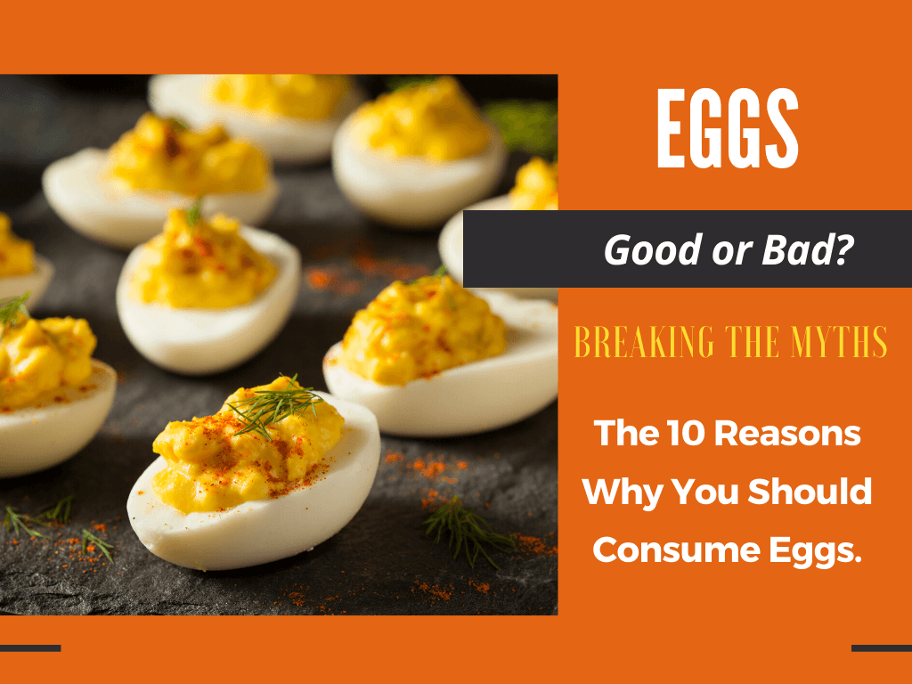 Is Egg Yolk Good Or Bad – Breaking The Myths