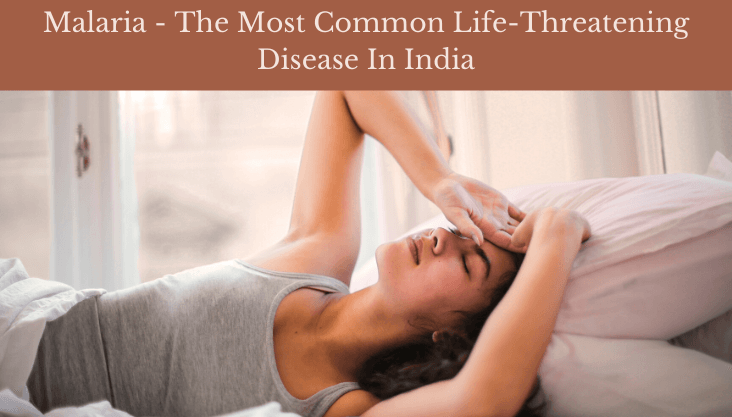 Malaria – The Most Common Life-Threatening Disease In India